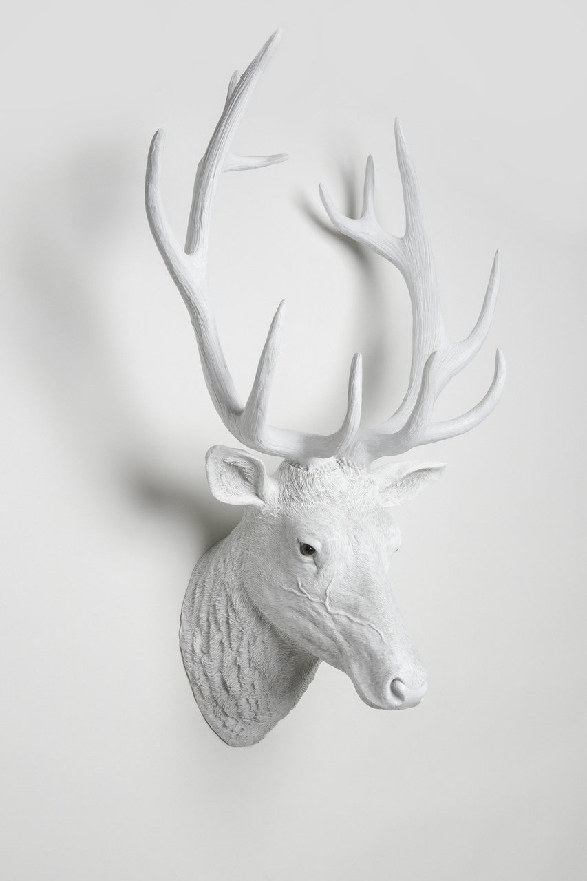 Interior Illusions Deer Head Taxidermy