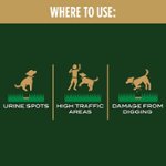 Scotts EZ Seed Dog Spot Repair Sun and Shade - Black