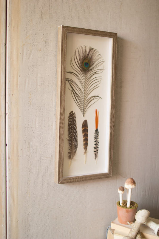 Kalalou Framed Feathers Under Glass