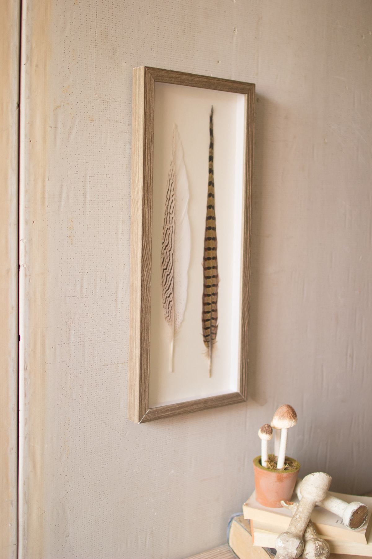 Kalalou Framed Feathers Under Glass