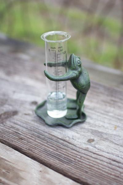 Kalalou Cast Iron Frog Rain Guage