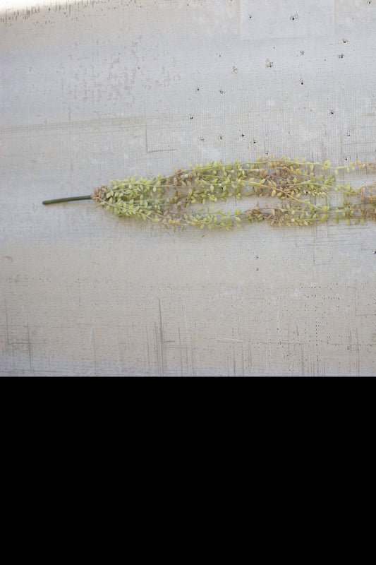 Kalalou 30" Necklace Plant (6 eas per box)1