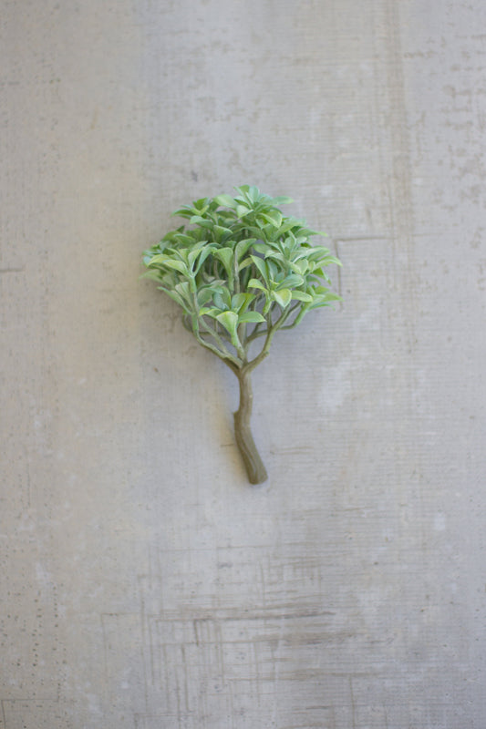 Kalalou 8" Succulent Single Stem (Set of 6)1