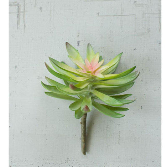 Kalalou Flower Succulent (6 eas per box)1